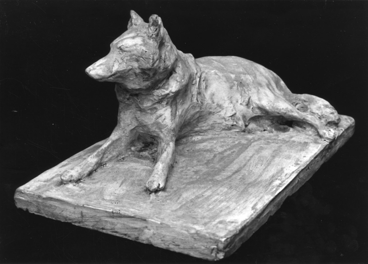 Il Lupo Vaska, cane (scultura, opera isolata) di Troubetzkoy Paolo (inizio sec. XX)