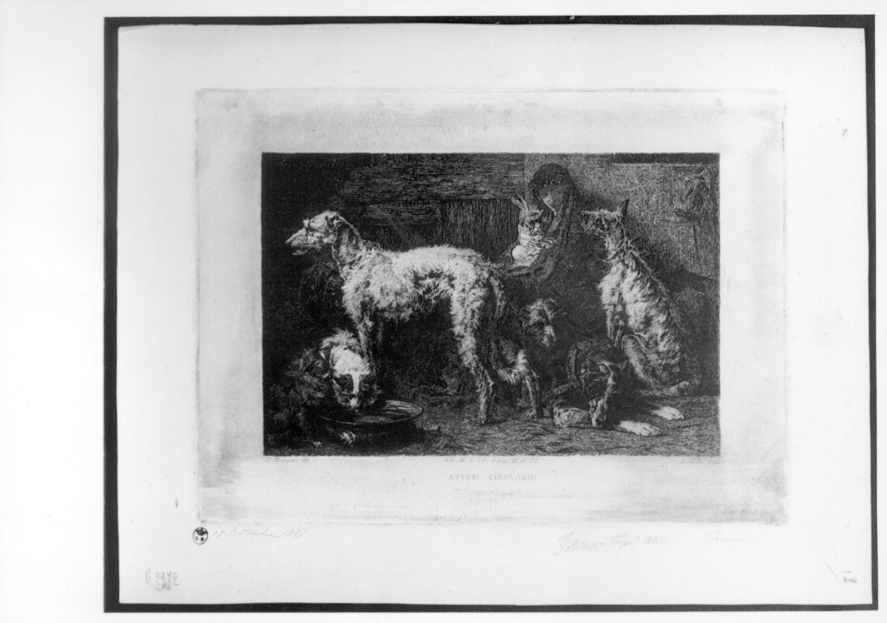 donna accovacciata e cani (stampa) di Gilli Alberto Maso, Lovera C, Morgari Pietro (sec. XIX)