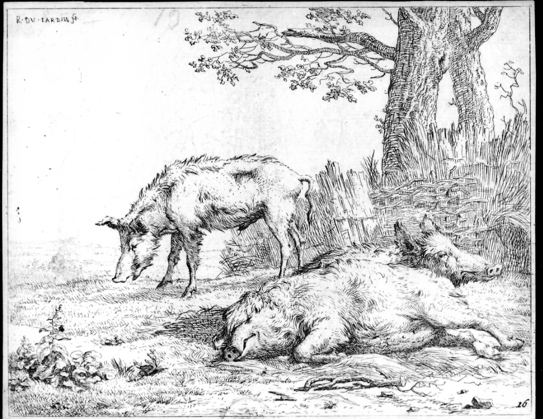 I tre maiali, tre maiali in un prato (stampa) di Du Jardin Karel (terzo quarto sec. XVII)