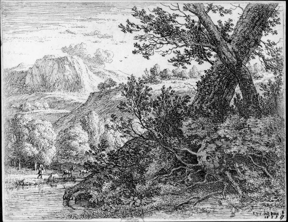 L'albero con le radici scoperte, paesaggio con alberi (stampa) di Du Jardin Karel (sec. XVII)