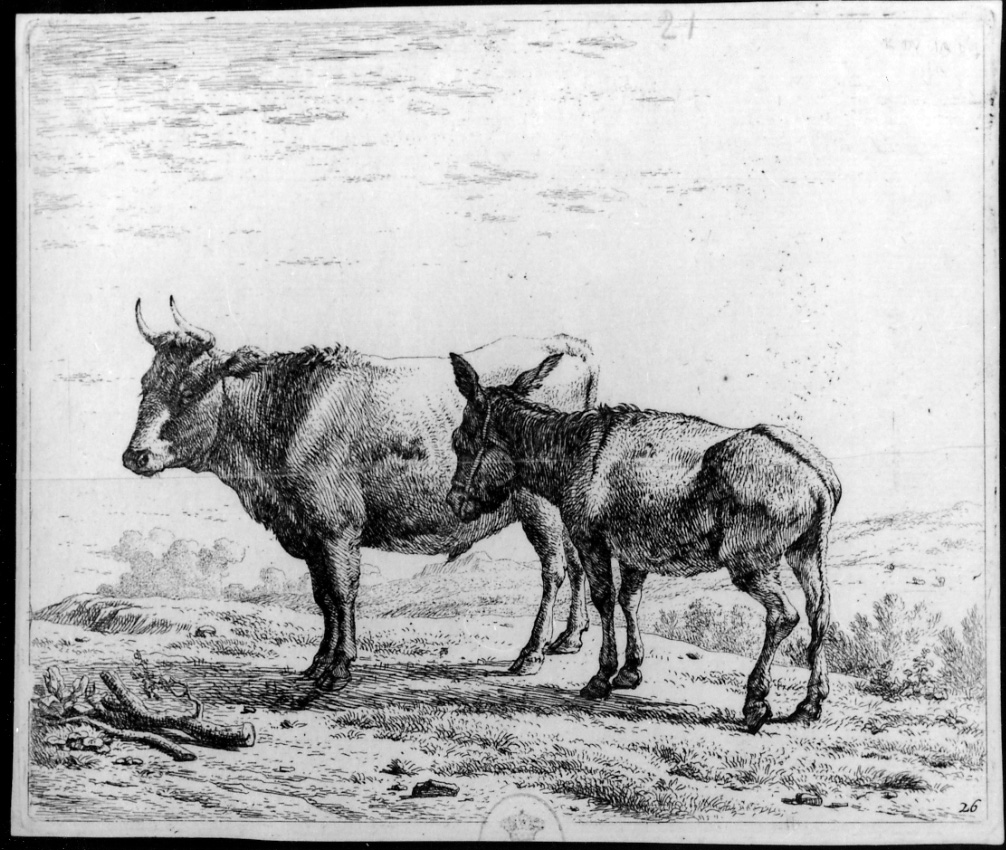 Il bue e l'asino, bue e asino in un prato (stampa) di Du Jardin Karel (terzo quarto sec. XVII)