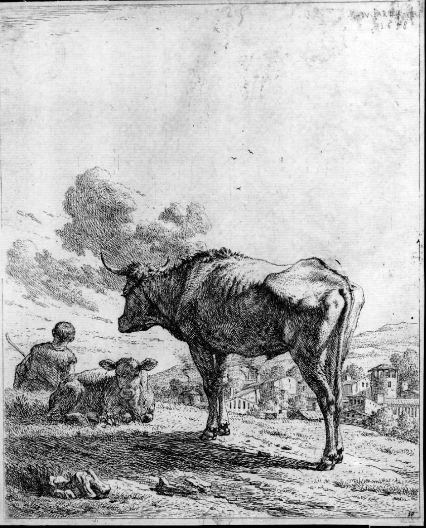 Il bue in piedi e il vitello sdraiato, pastore al pascolo con bue e vitello (stampa) di Du Jardin Karel (sec. XVII)