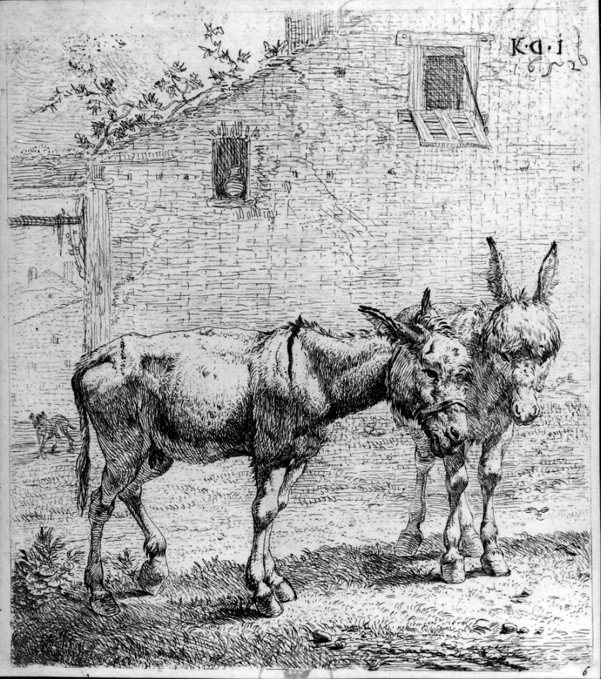 I due asini, due asini davanti a una casa (stampa) di Du Jardin Karel (sec. XVII)