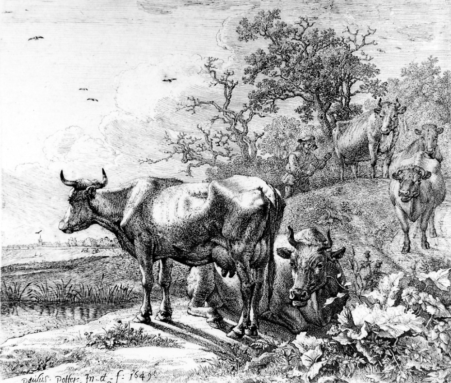 IL MANDRIANO E LE MUCCHE, pastore al pascolo con mucche (stampa) di Potter Paulus (metà sec. XVII)