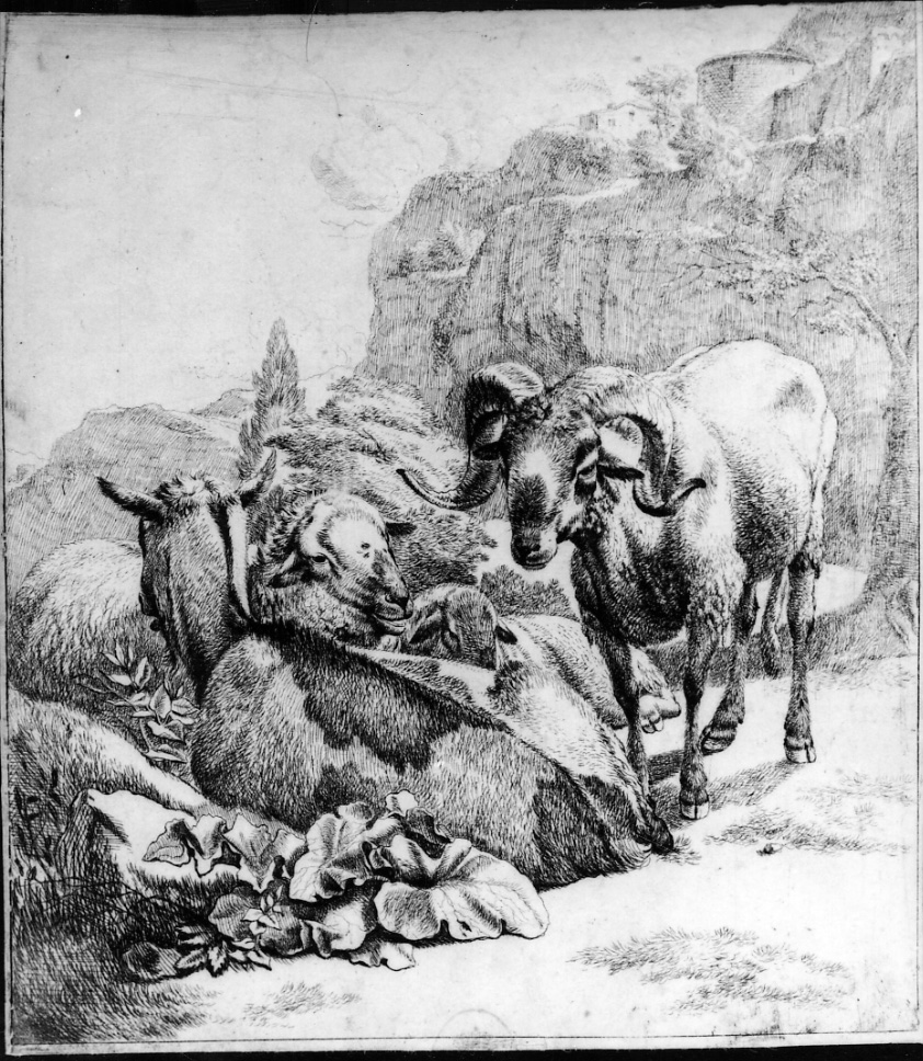I MONTONI TRA LE ROCCE, pecore e montone (stampa, elemento d'insieme) di Roos Johann Heinrich (seconda metà sec. XVII)