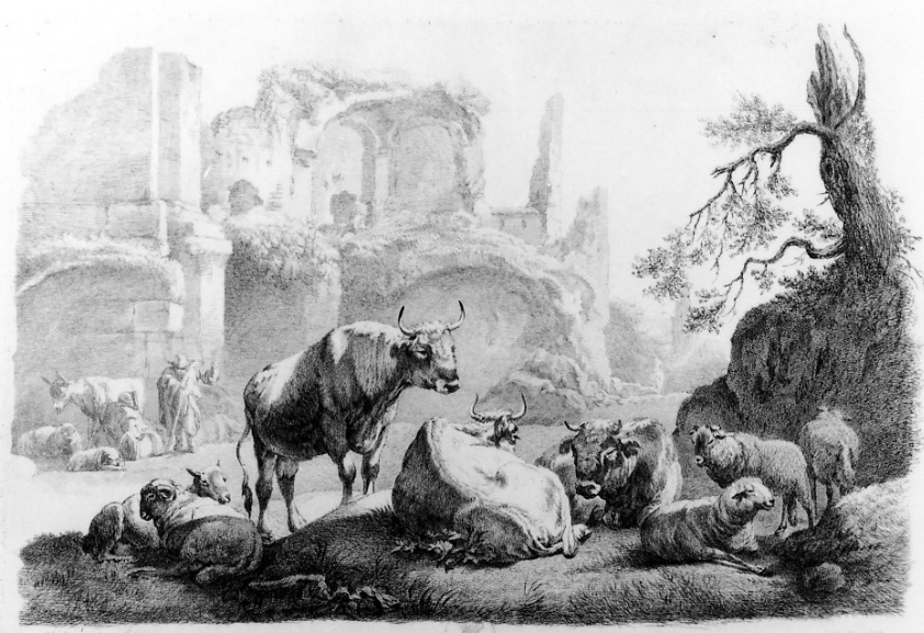 ROVINE CON VACCHE E PECORE, paesaggio con rovine e animali (stampa) di Roos Johann Heinrich (seconda metà sec. XVII)