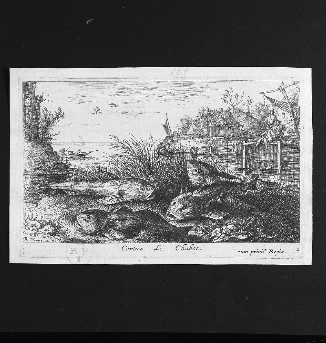 scazzone (stampa, elemento d'insieme) di Flamen Albert (seconda metà sec. XVII)