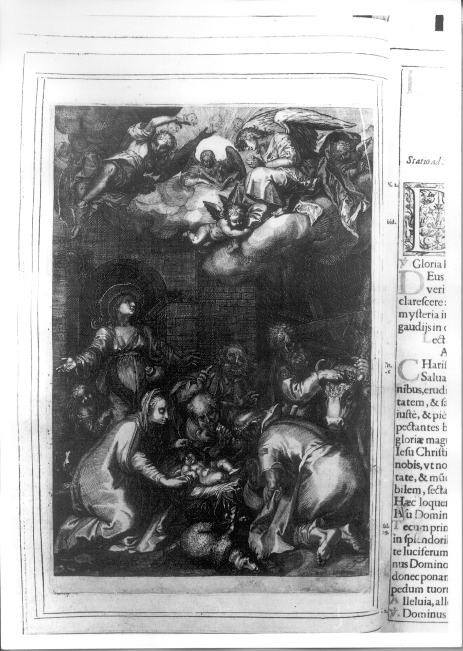 adorazione dei pastori (stampa) di Sadeler Raphael I (prima metà sec. XVII)