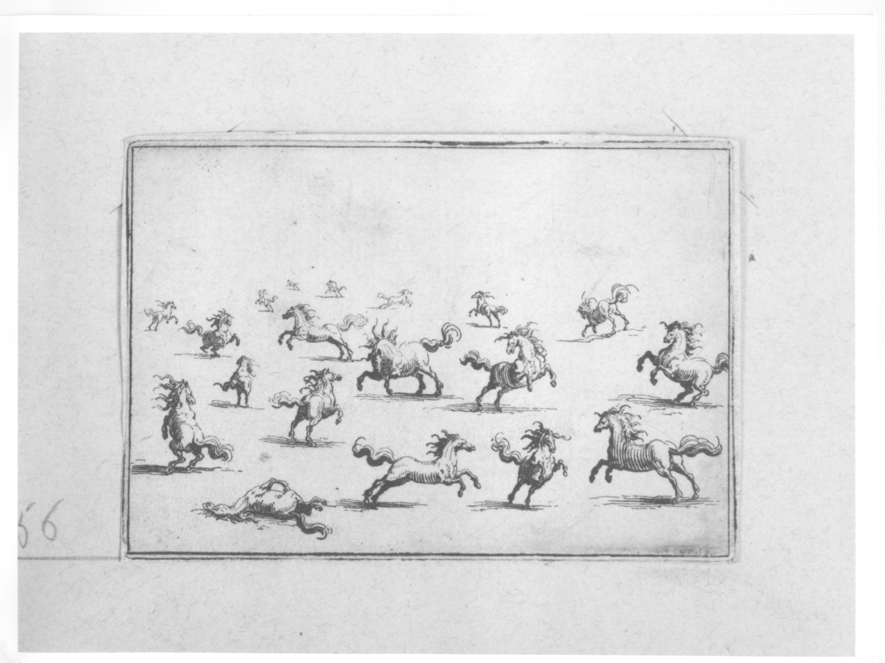 cavalli, cavalli (stampa) di Callot Jacques (primo quarto sec. XVII)