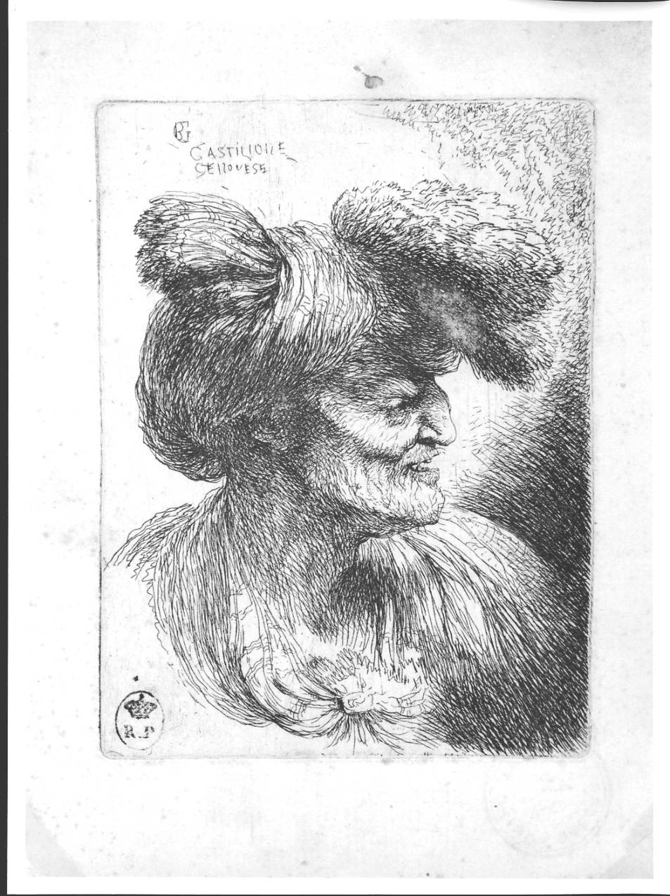 testa di donna (stampa) di Castiglione Giovanni Benedetto detto Grechetto (metà sec. XVII)