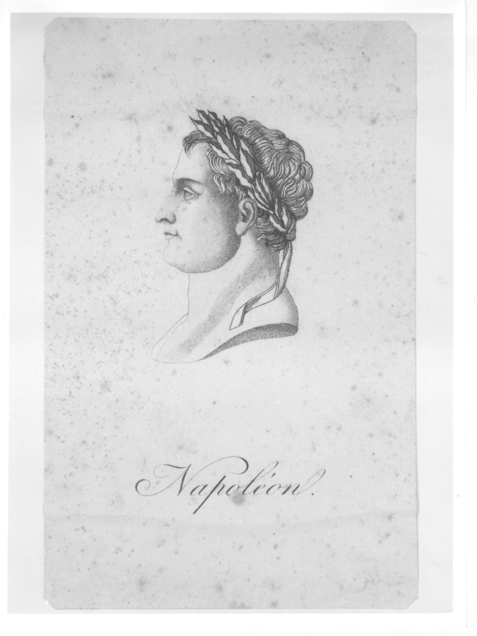 testa di Napoleone Bonaparte (stampa) - ambito francese (prima metà sec. XIX)