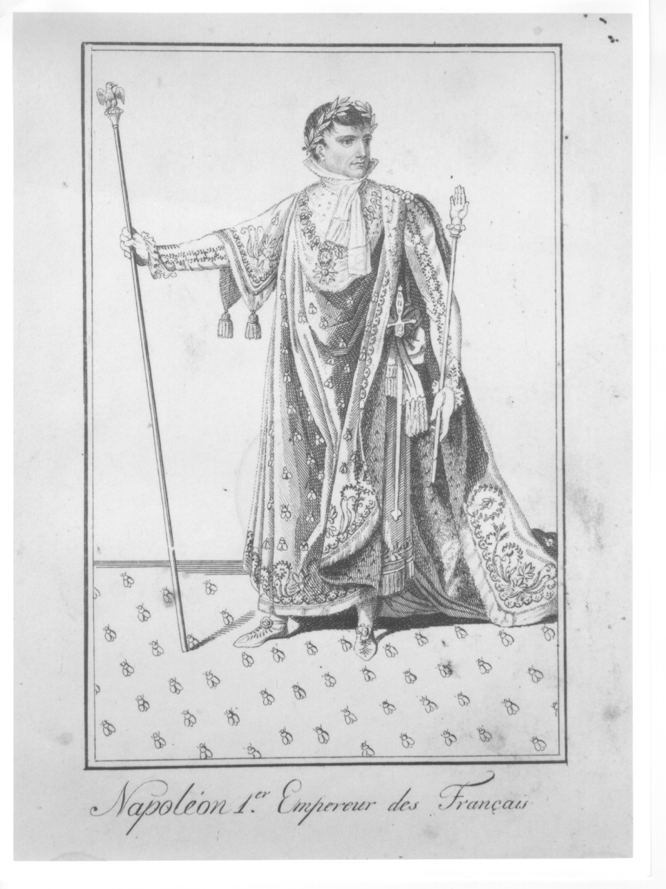ritratto di Napoleone Bonaparte (stampa) - ambito francese (prima metà sec. XIX)