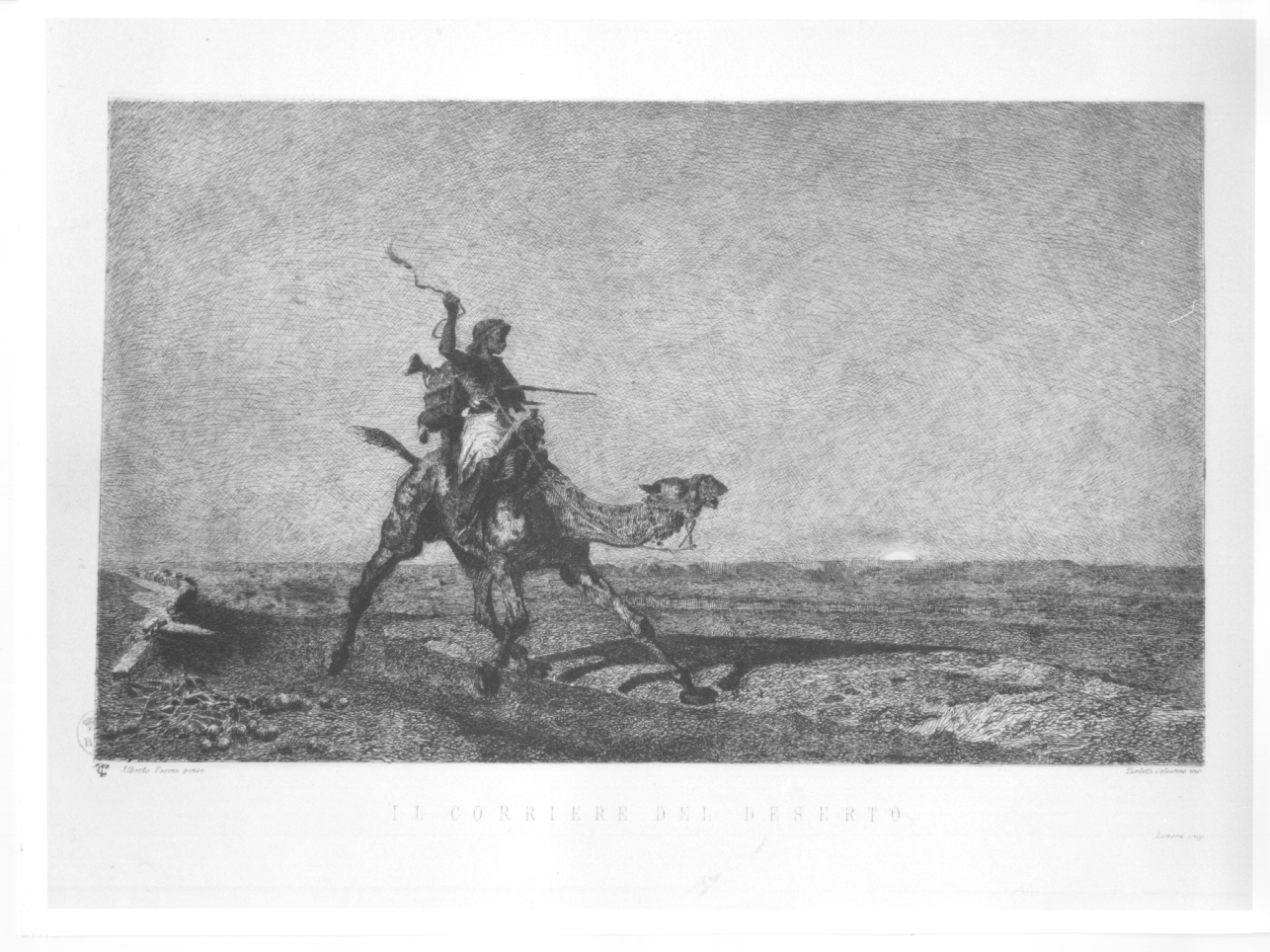 uomo con cammello (stampa) di Turletti Celestino, Pasini Alberto (seconda metà sec. XIX)