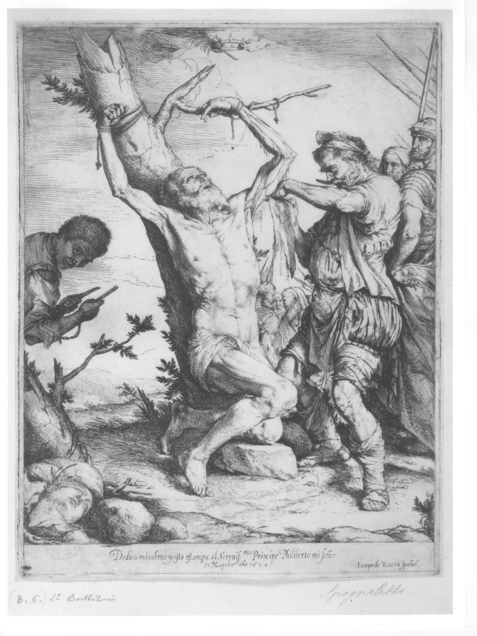 martirio di San Bartolomeo (stampa) di De Ribera Jusepe detto Spagnoletto (primo quarto sec. XVII)