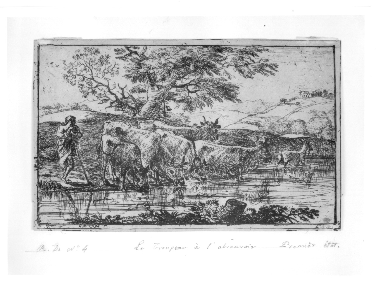 animali all'abbeverata (stampa) di Gellée Claude detto Claude Lorrain (metà sec. XVII)