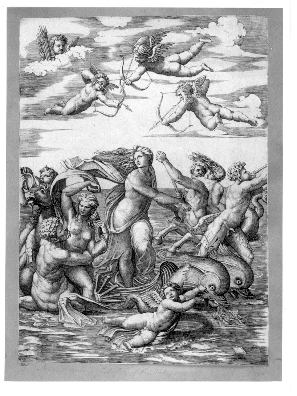 Galatea, Galatea (stampa) di Raimondi Marcantonio, Sanzio Raffaello (prima metà sec. XVI)