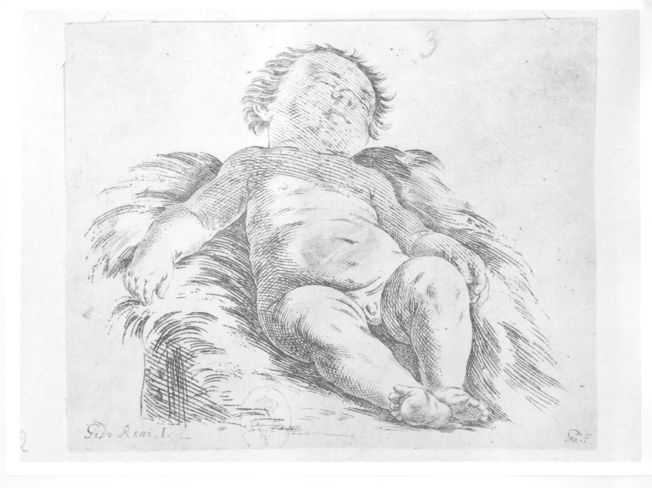 Putto dormiente, bambino dormiente (stampa smarginata) di Reni Guido (fine sec. XVI)