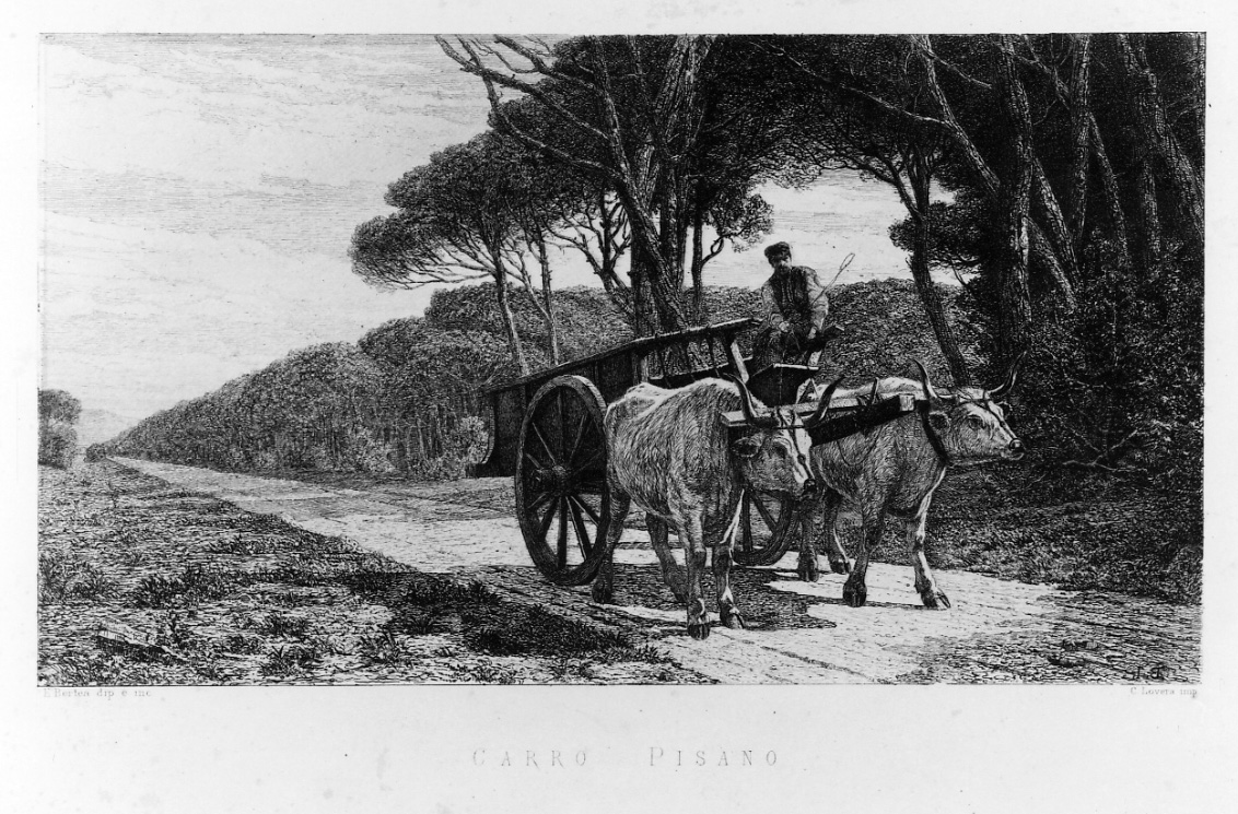 uomo su carro trainato da buoi (stampa) di Bertea Ernesto (terzo quarto sec. XIX)