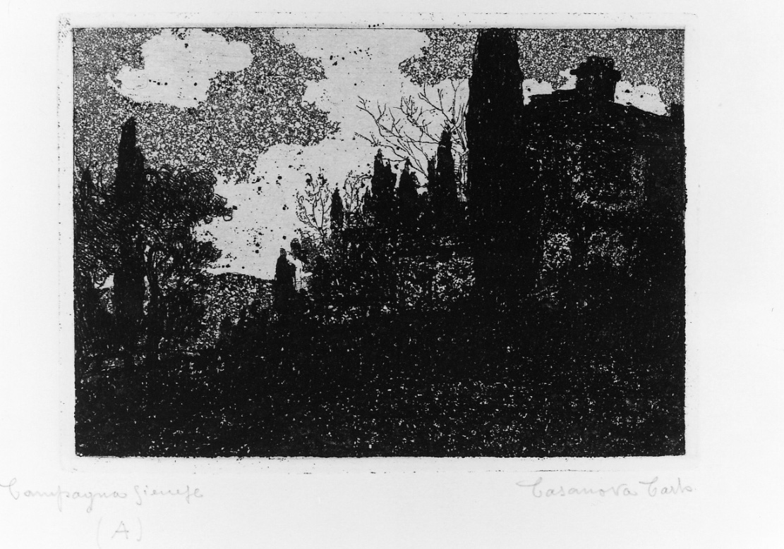 paesaggio con casolare (stampa) di Casanova Carlo (prima metà sec. XX)