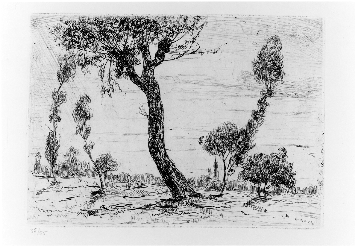 paesaggio con alberi (stampa) di Gariazzo Pier Antonio (prima metà sec. XX)