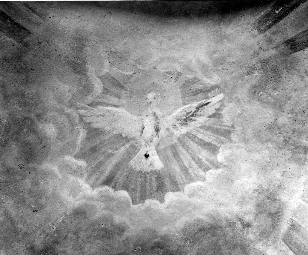 colomba dello Spirito Santo (dipinto, elemento d'insieme) - ambito piemontese (prima metà sec. XVIII, sec. XX)