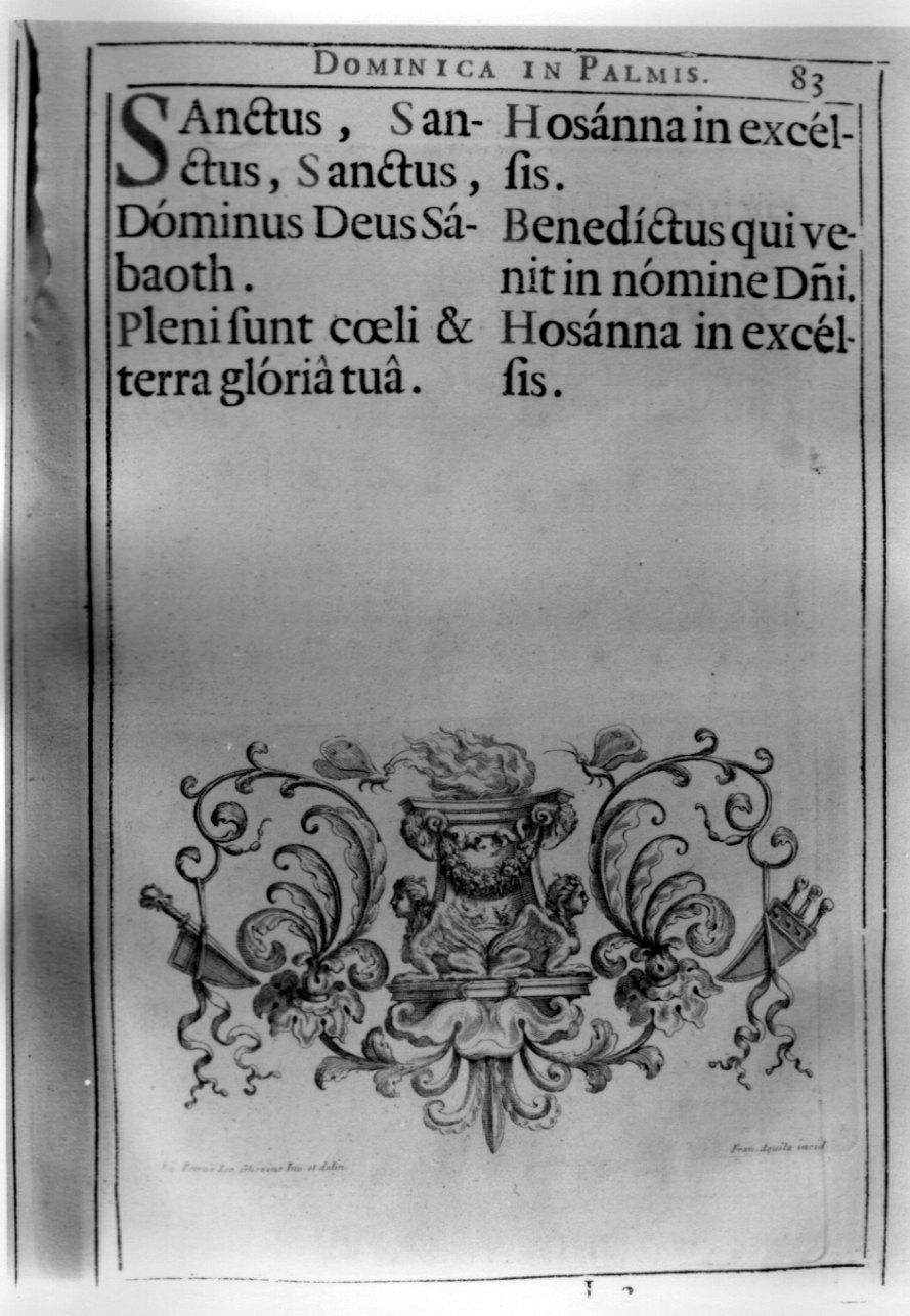 motivo decorativo fitomorfo (stampa) di Aquila Francesco Faraone, Ghezzi Pier Leone (secondo quarto sec. XVIII)