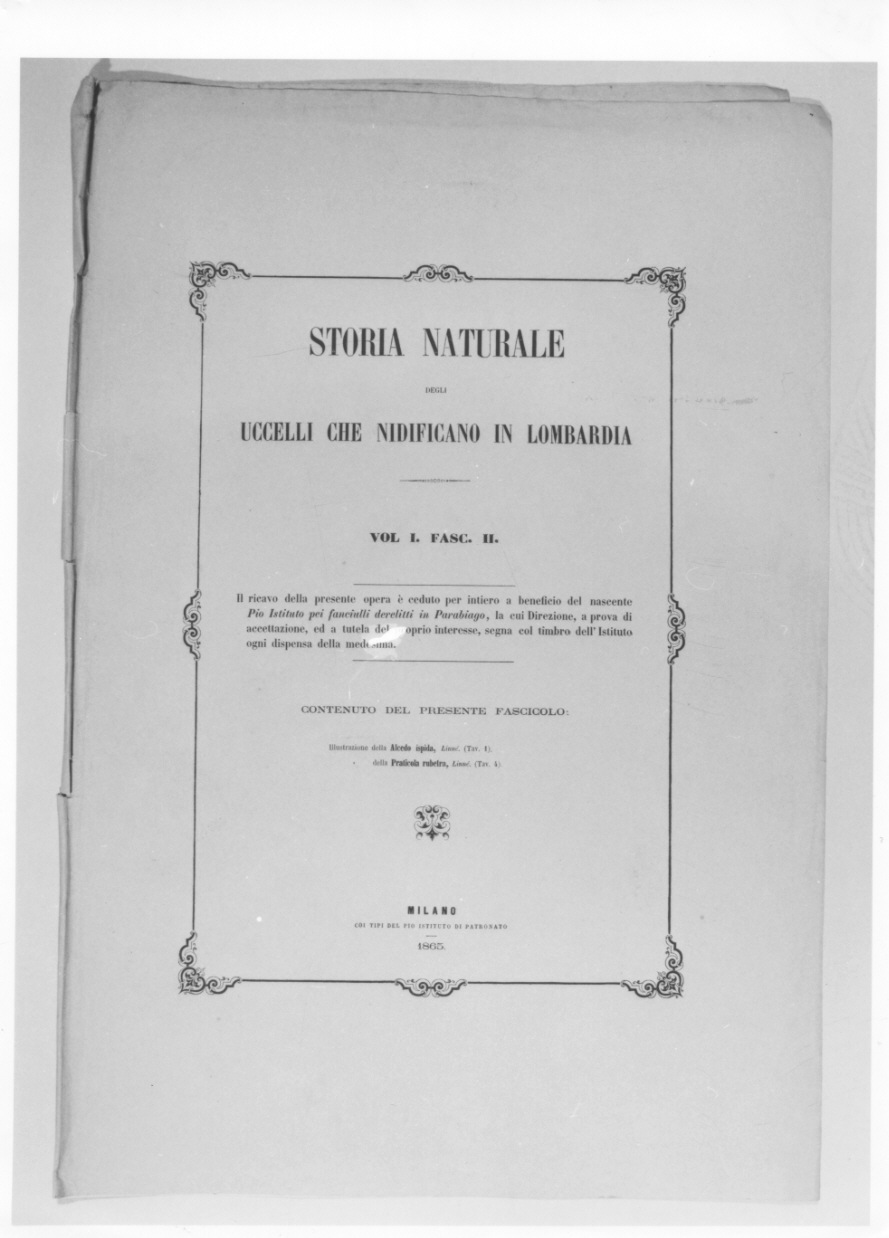 motivi decorativi a volute (stampa, serie) - ambito lombardo (terzo quarto sec. XIX)