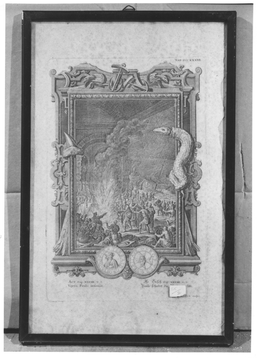 San Paolo morso da una vipera (stampa, elemento d'insieme) di Fridrich Jacob Andreas (secondo quarto sec. XVIII)
