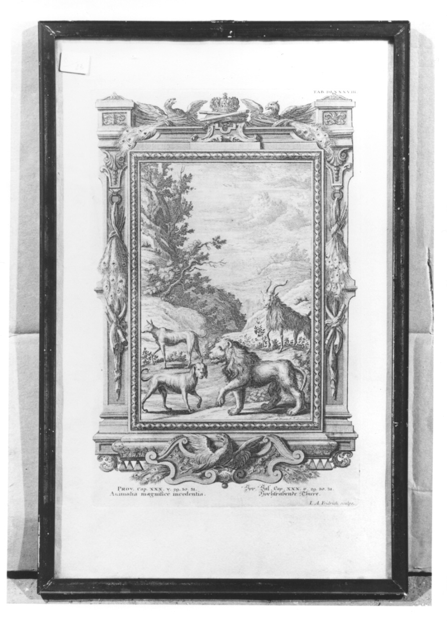 animali dall'incedere maestoso (stampa, elemento d'insieme) di Fridrich Jacob Andreas (secondo quarto sec. XVIII)