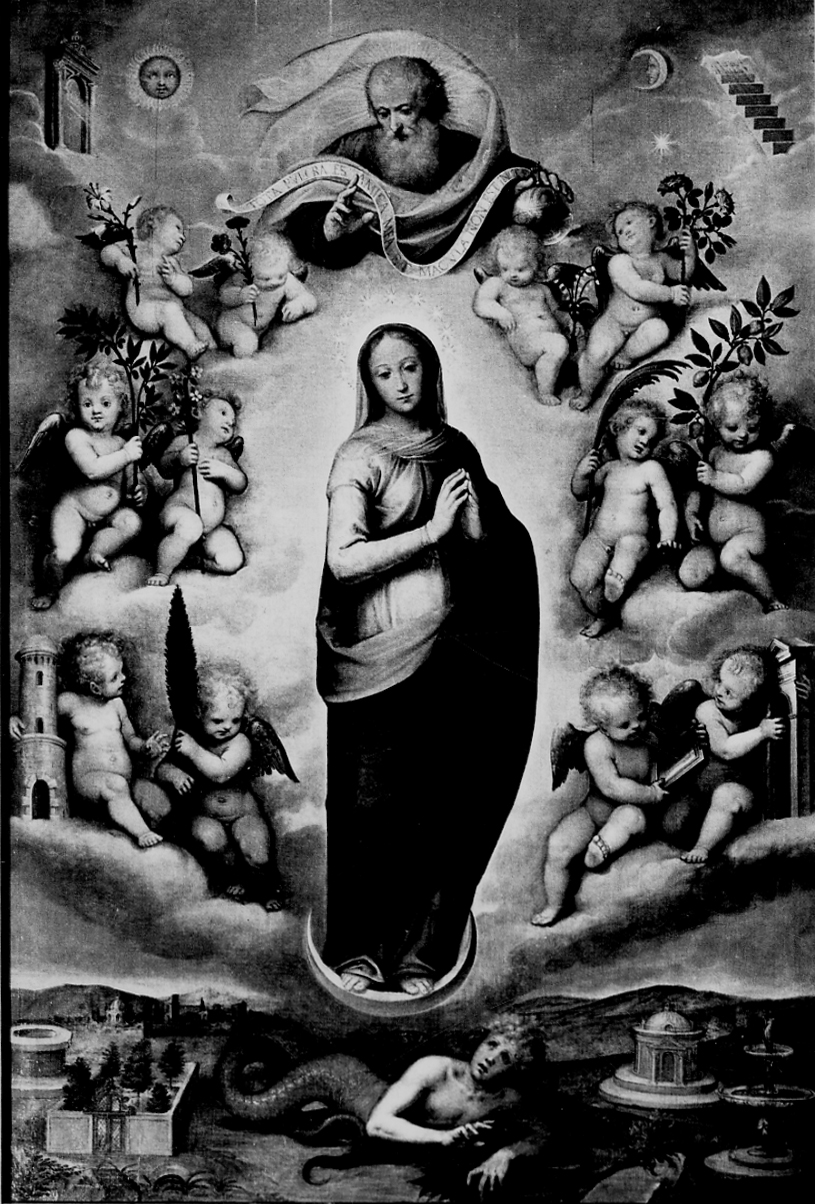Madonna Immacolata (dipinto, opera isolata) di Caccia Guglielmo detto Moncalvo (fine/inizio secc. XVI/ XVII)
