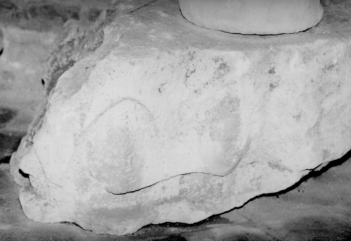 capitello di pilastro, frammento - bottega Italia settentrionale (sec. XIII, sec. XIV)