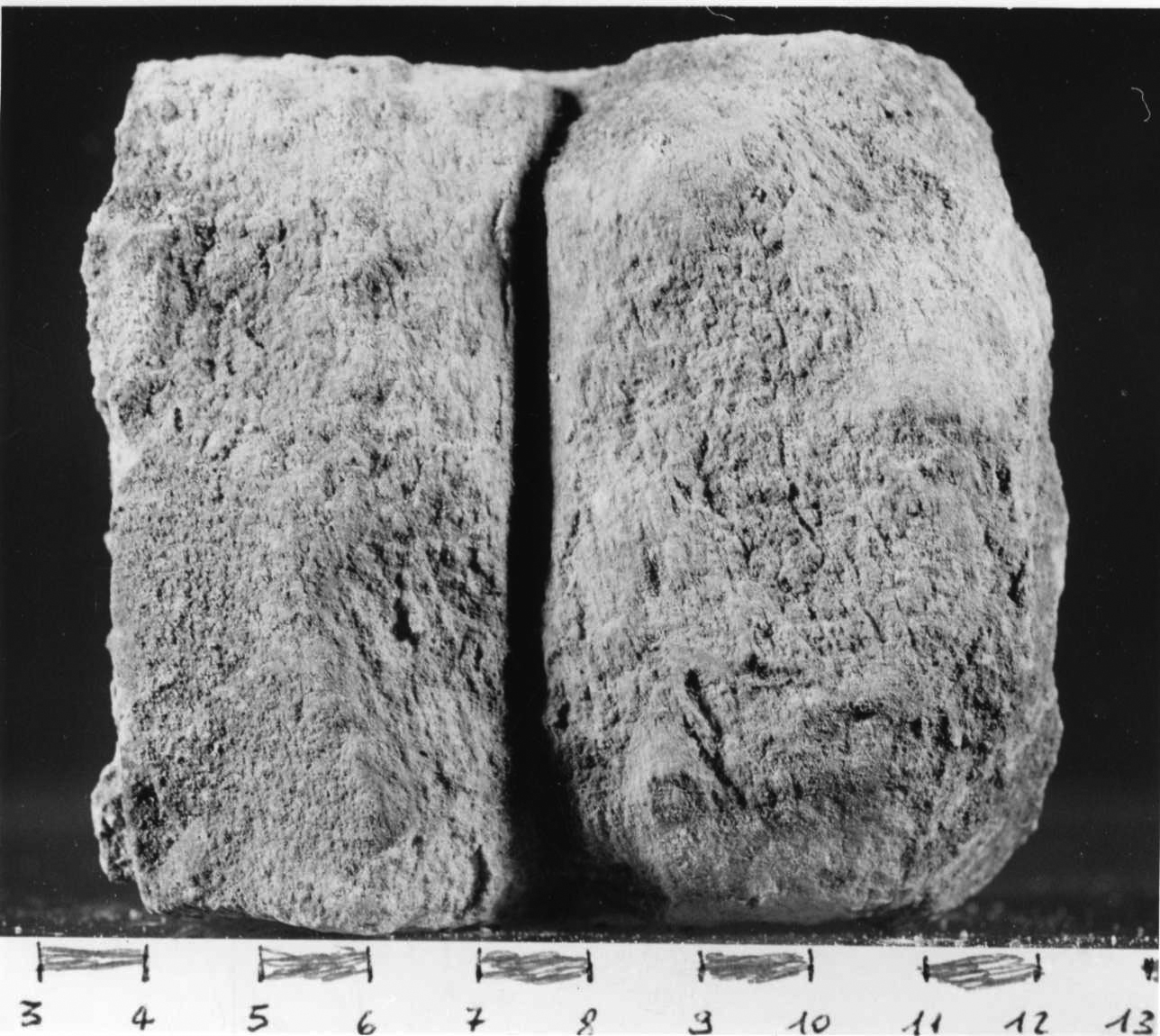 mensola, opera isolata - bottega piemontese (sec. XIV)