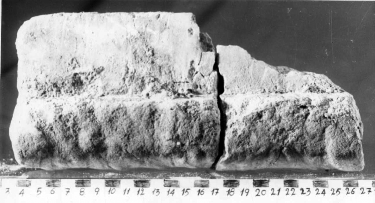 semicolonna, serie - bottega piemontese (sec. XIV)