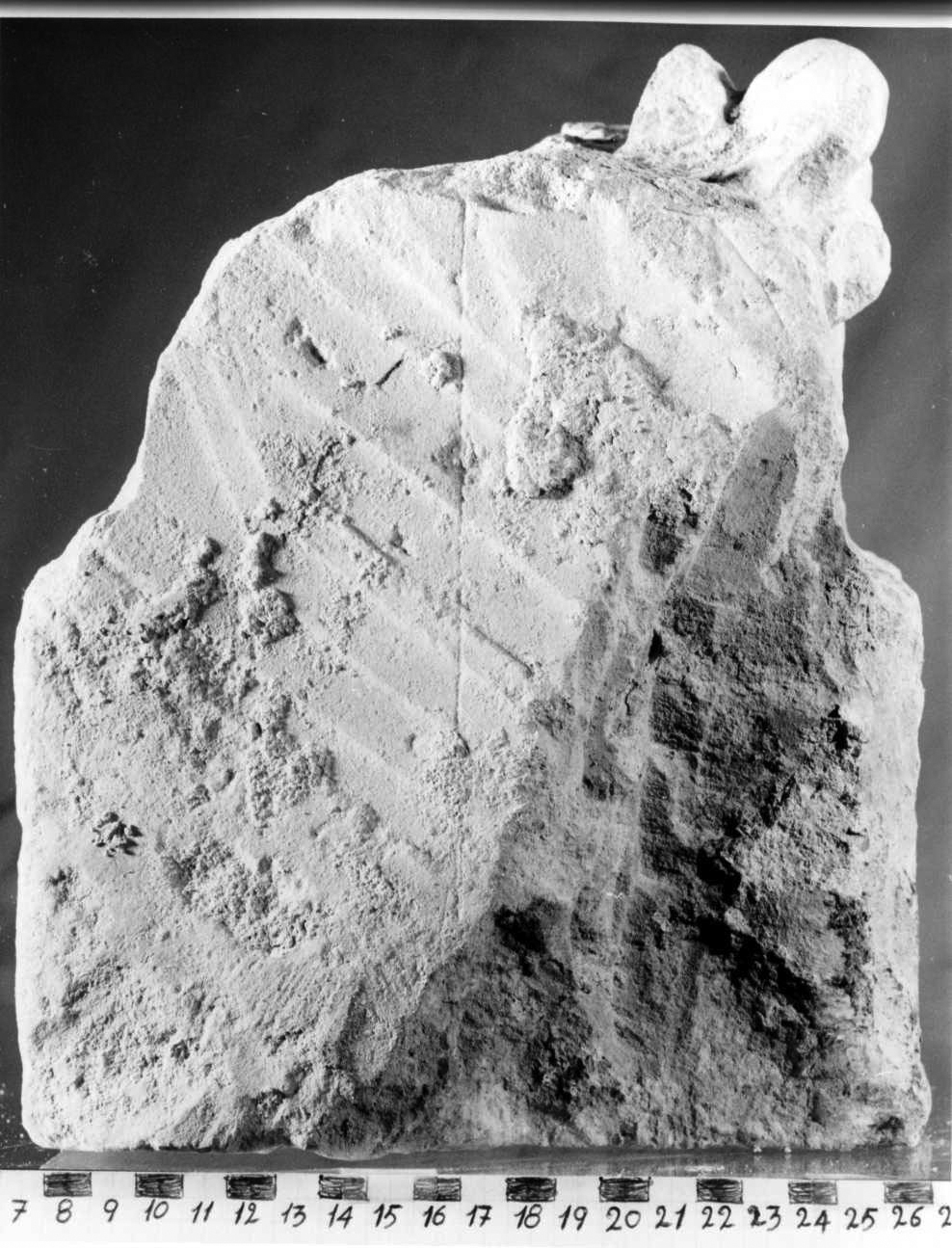 capitello, opera isolata - bottega piemontese (sec. XIV)