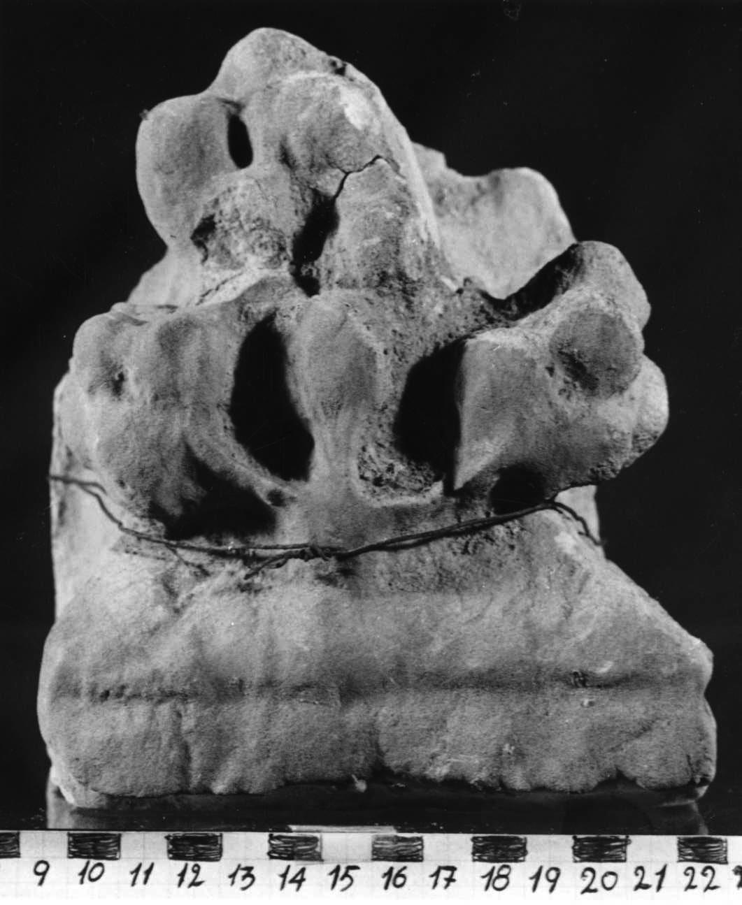 mensola, opera isolata - bottega piemontese (sec. XIV)