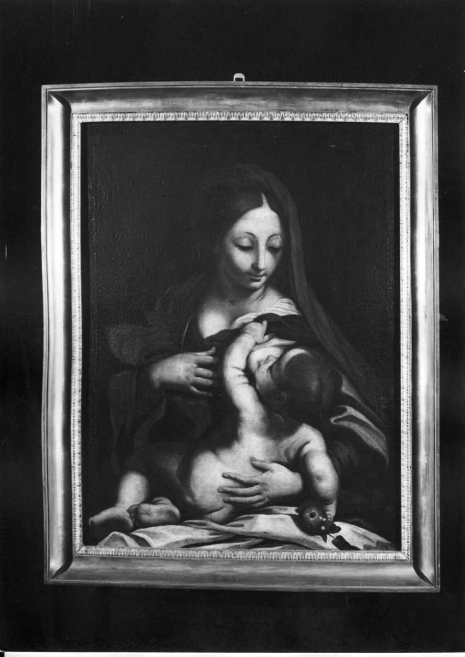 Madonna del Latte (dipinto, opera isolata) - ambito lombardo (sec. XVIII)