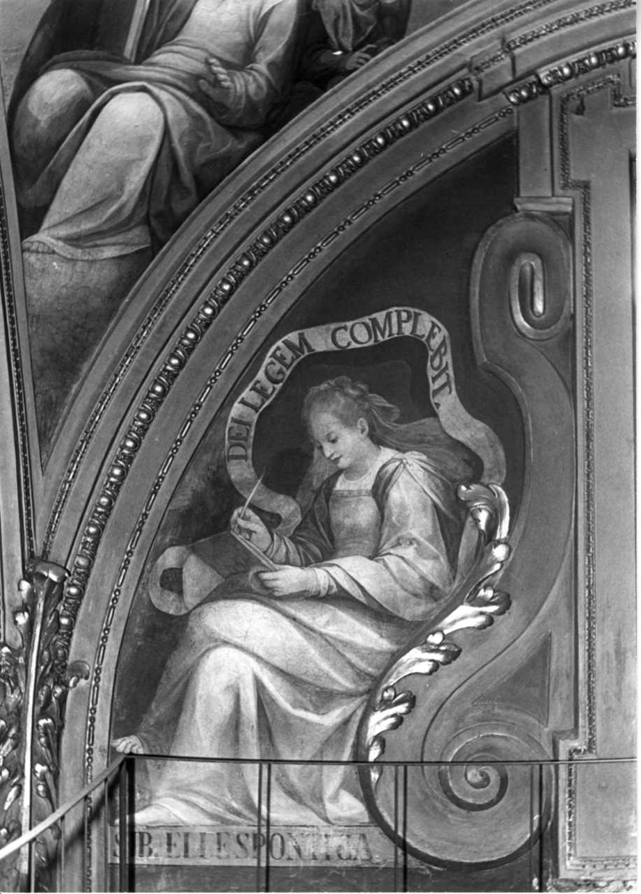 Sibilla Ellespontica (dipinto, elemento d'insieme) di Caccia Guglielmo detto Moncalvo (primo quarto sec. XVII)