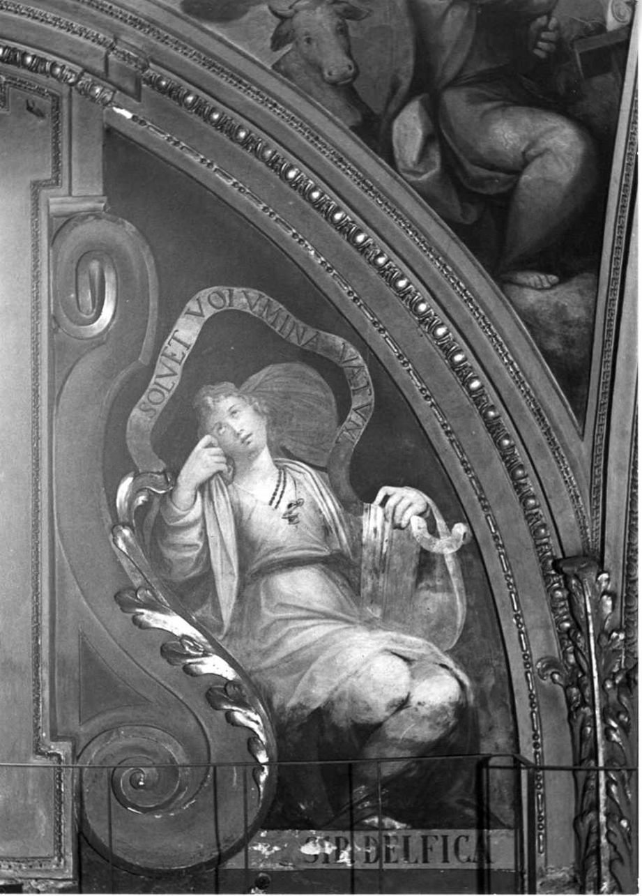 Sibilla Delfica (dipinto, elemento d'insieme) di Caccia Guglielmo detto Moncalvo (primo quarto sec. XVII)