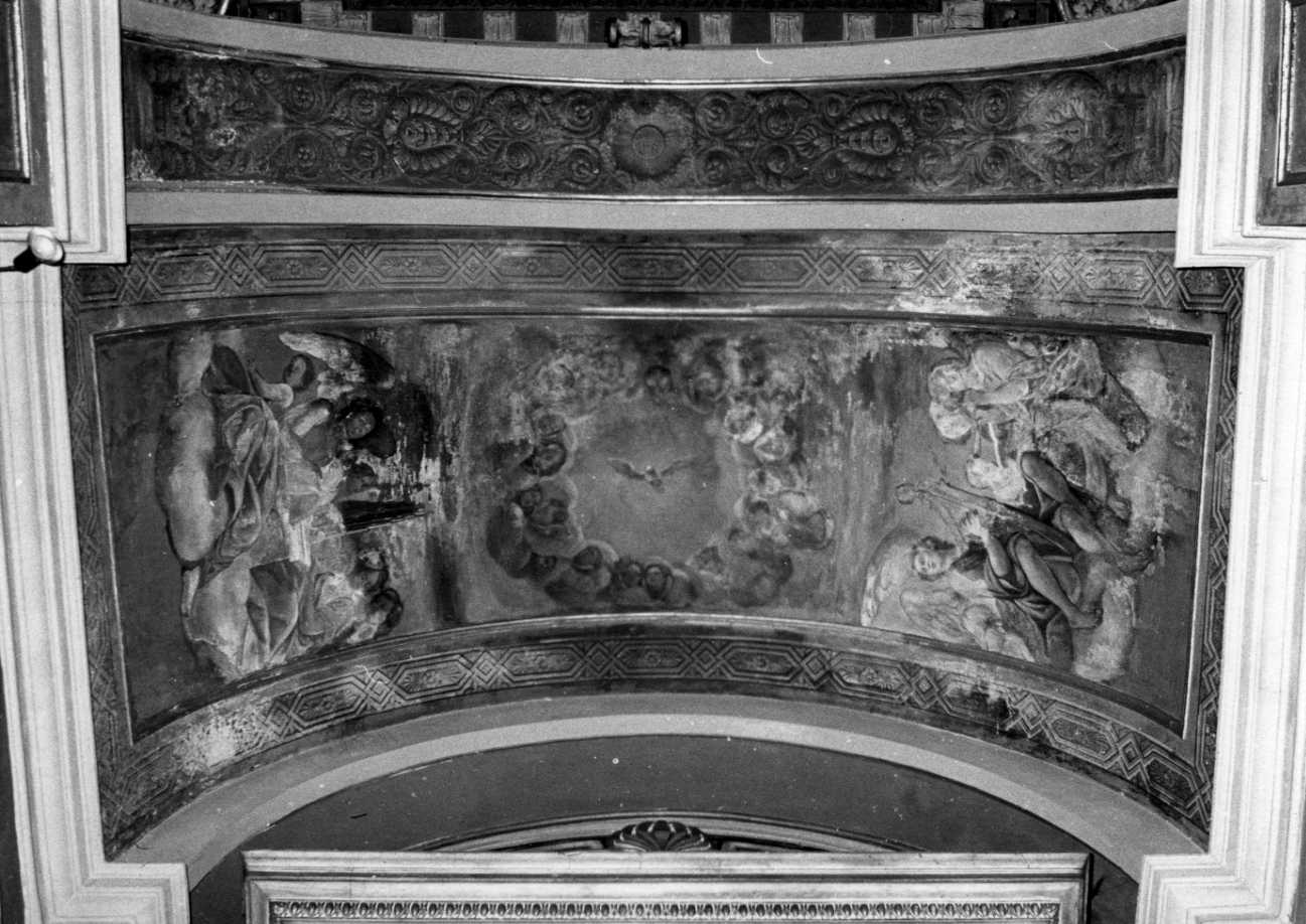 colomba dello Spirito Santo e cherubini (dipinto, opera isolata) di Bazzi Pietro (attribuito), Narducci Pietreo (attribuito) (sec. XIX)