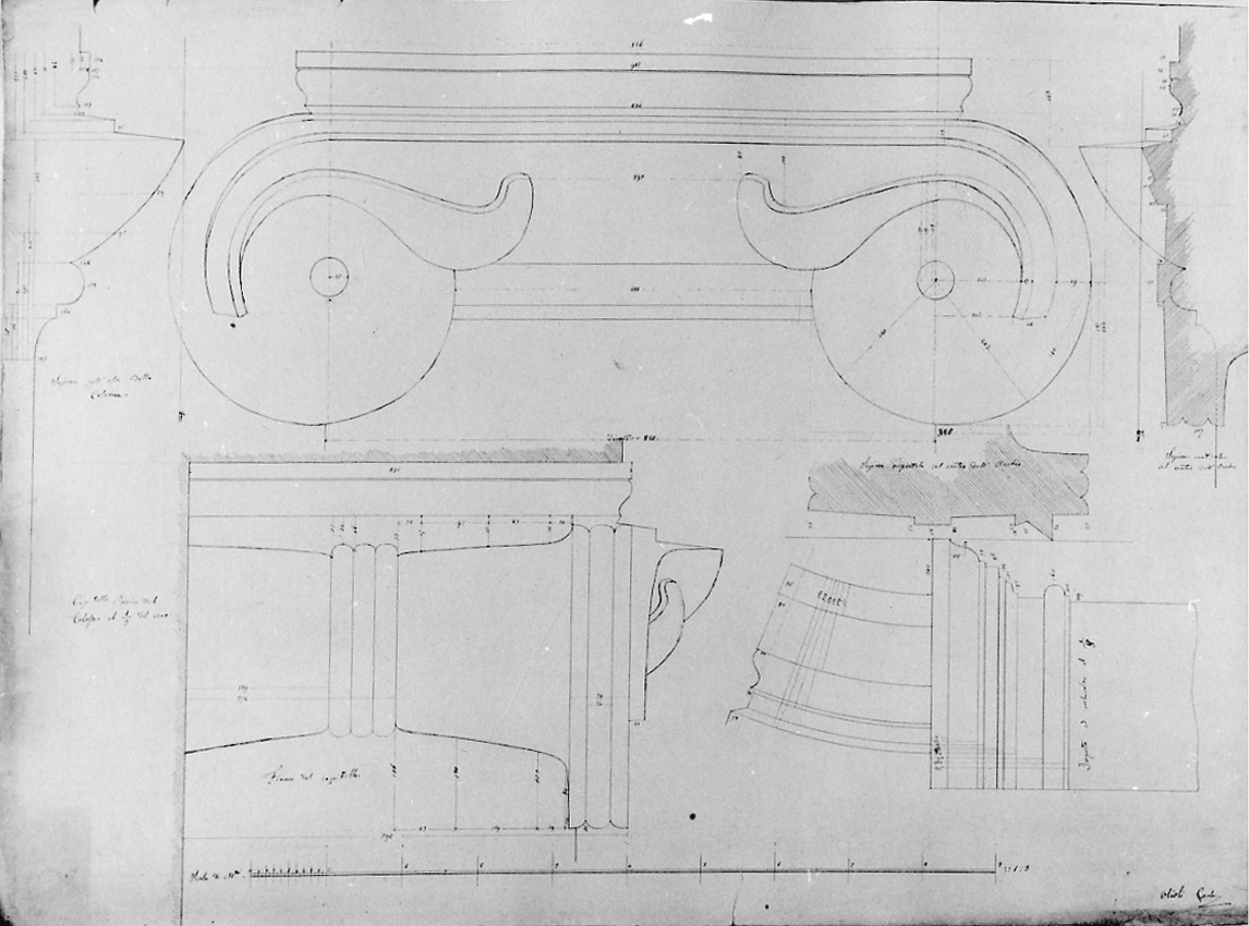 Capitello ionico del Colosseo al primo terzo del vero, particolari architettonici del Colosseo (disegno, opera isolata) di Olioli Carlo (metà sec. XIX)