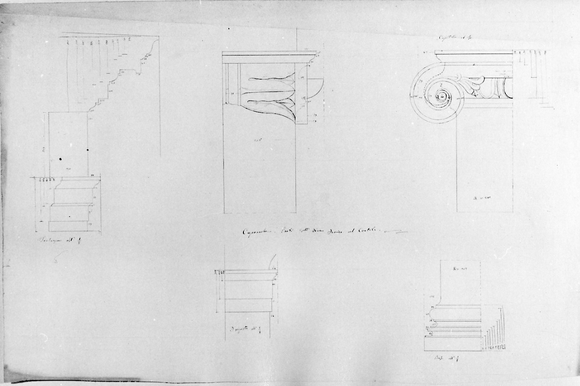 Caprarola: Palazzo Farnese parti dell'ordine ionico nel cortile, particolari architettonici del prospetto sul cortile di Palazzo Farnese a Caprarola (disegno, opera isolata) di Olioli Carlo (metà sec. XIX)