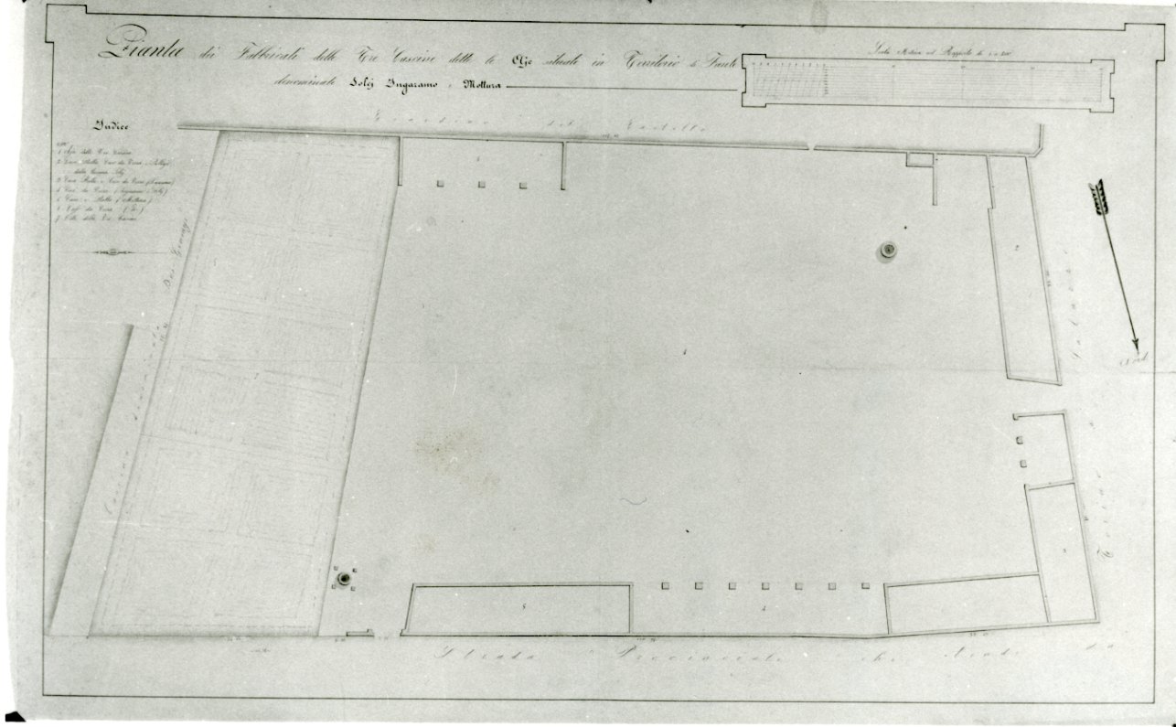 pianta di tre cascina attigue al castello di Faule (disegno, opera isolata) - ambito piemontese (fine/inizio secc. XIX/ XX)