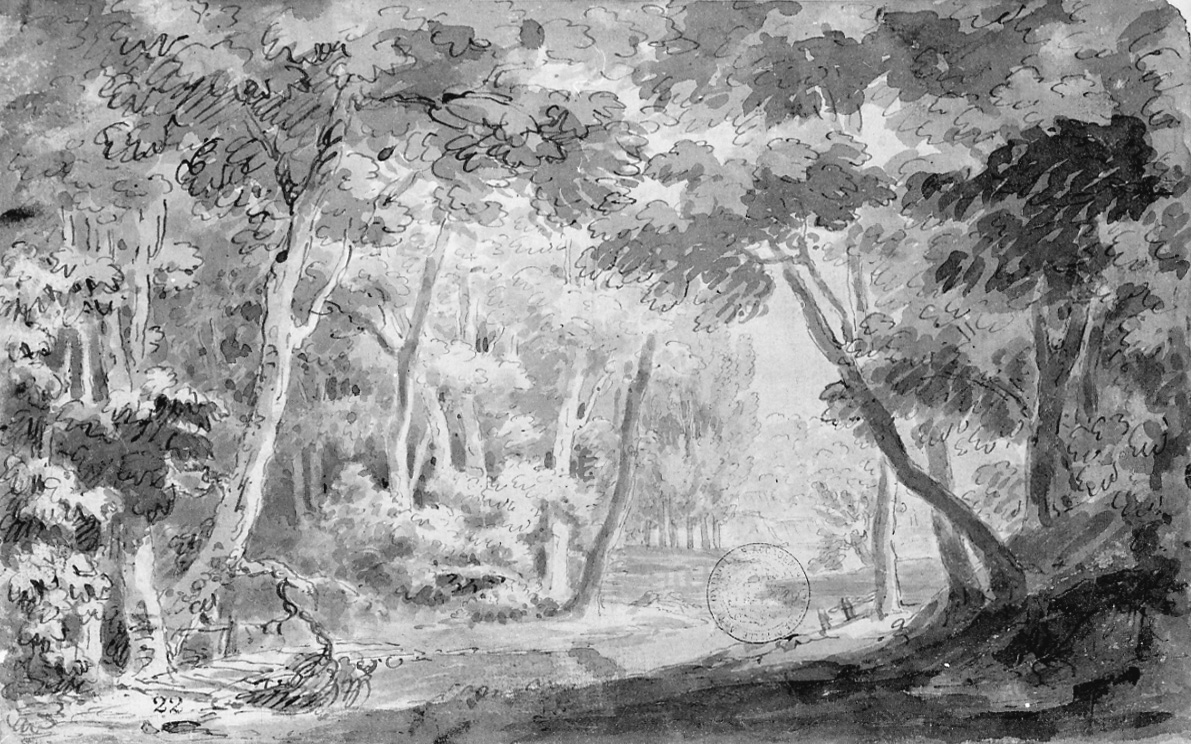 Bosco con ruscello e ponte rustico, paesaggio con alberi (disegno, opera isolata) di Vacca Luigi (prima metà sec. XIX)