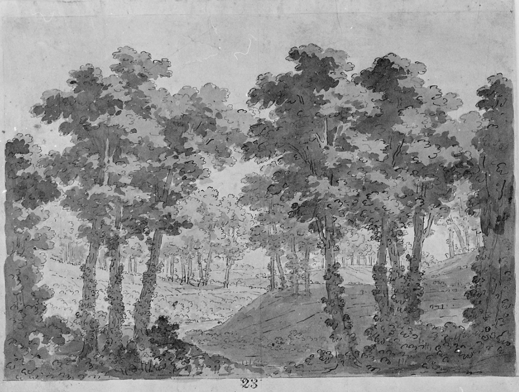 Collina boscosa, paesaggio con alberi (disegno, opera isolata) di Vacca Luigi (prima metà sec. XIX)