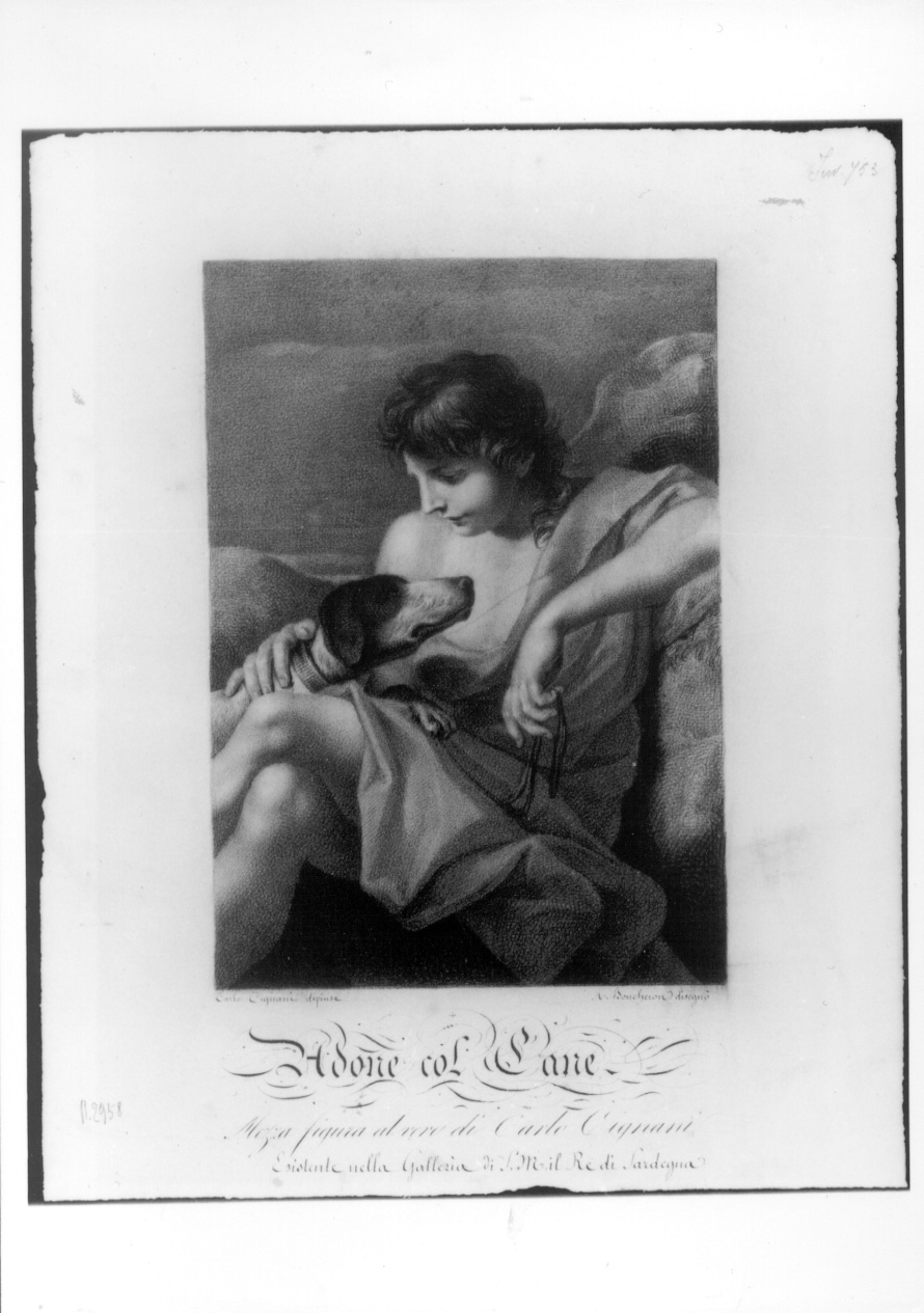 Adone (disegno, opera isolata) di Boucheron Angelo Michele (secondo quarto sec. XIX)
