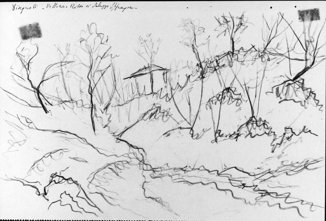 Casupola nel bosco, paesaggio con alberi (disegno, opera isolata) di Risso Vittorio (metà sec. XX)