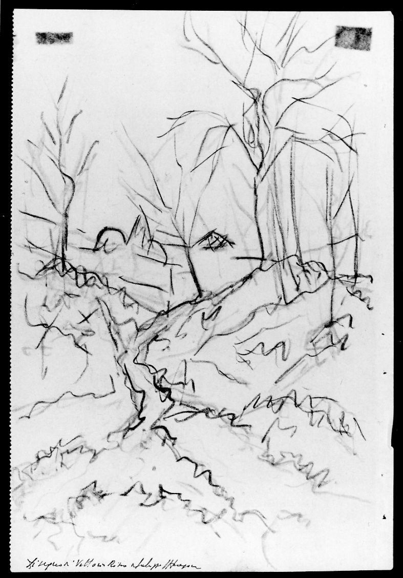 Colline, paesaggio con alberi (disegno, opera isolata) di Risso Vittorio (metà sec. XX)