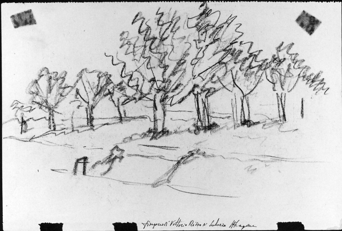 Paesaggio, paesaggio con alberi (disegno, opera isolata) di Risso Vittorio (metà sec. XX)