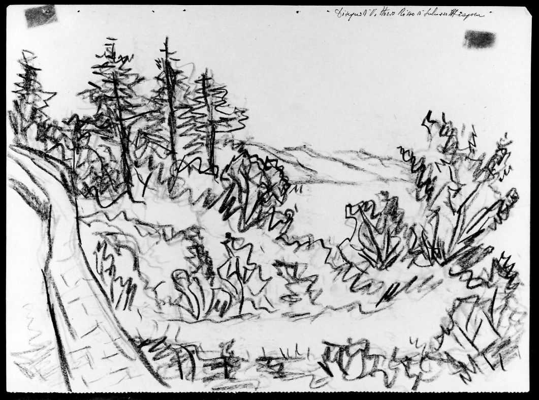 Sentiero in collina, paesaggio con alberi (disegno, opera isolata) di Risso Vittorio (metà sec. XX)