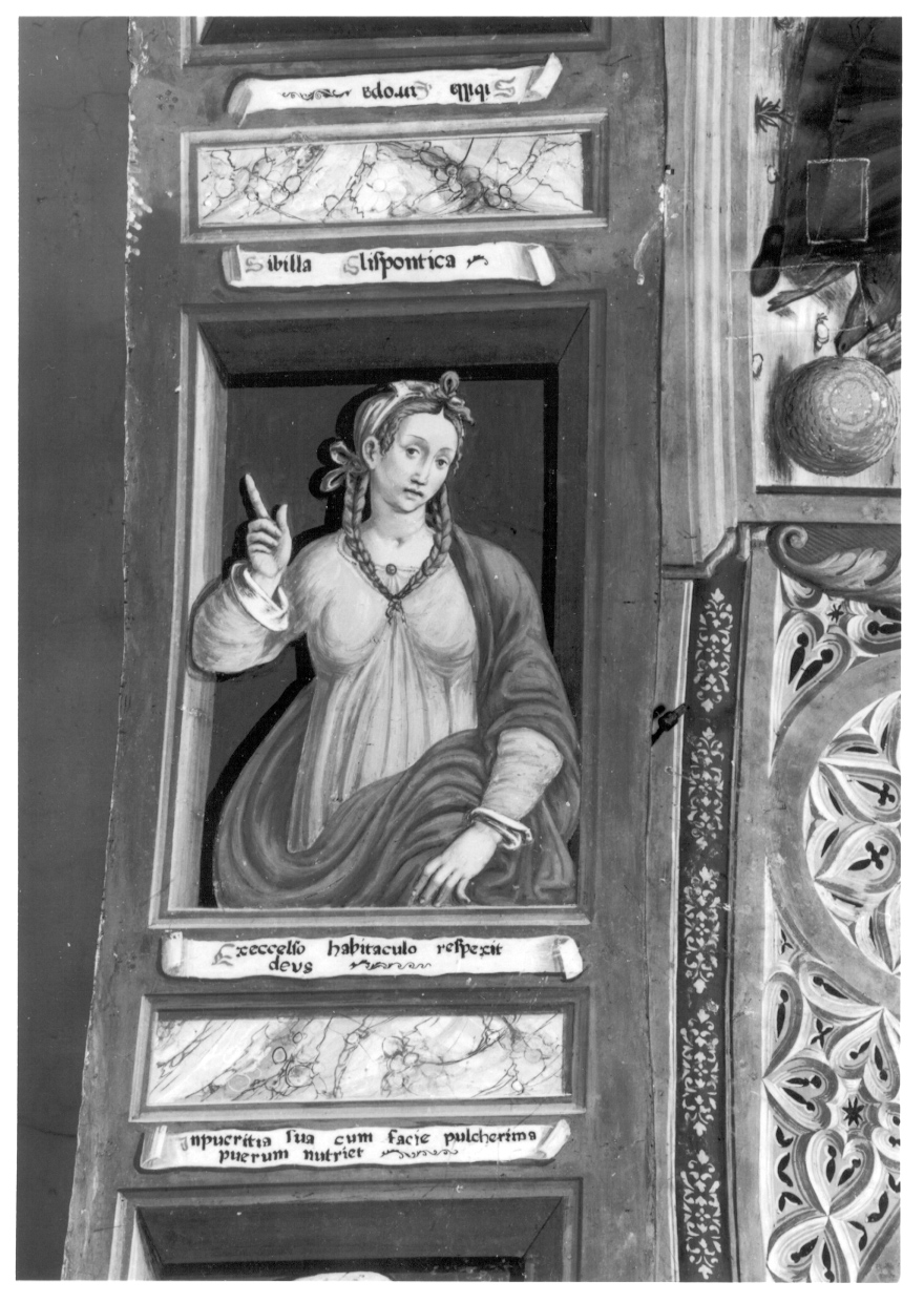 Sibilla Ellespontica (dipinto, elemento d'insieme) di Giacomo da Cardone (metà sec. XVI)